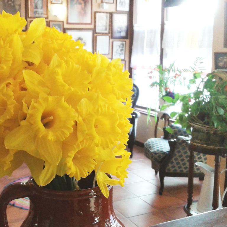 Hostal Santa Agueda Tarazona Kültér fotó